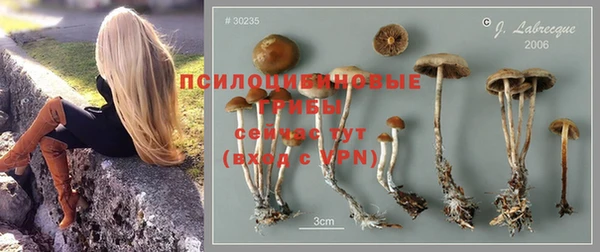 гидропоника Вяземский