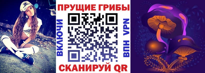 Галлюциногенные грибы мицелий  мега ССЫЛКА  Снежинск  купить наркотики цена 